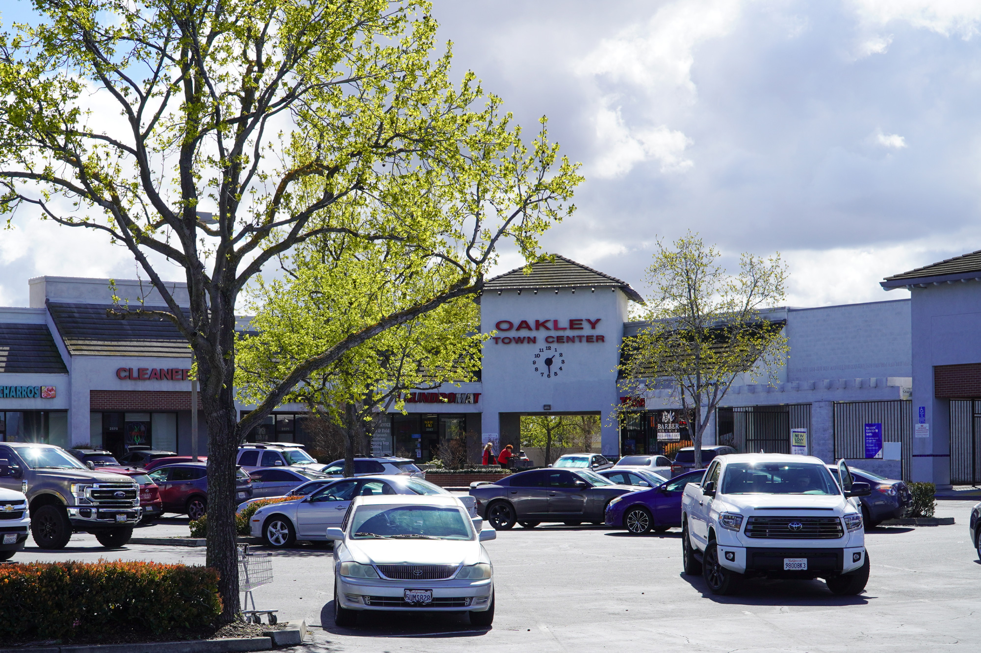 Marketing Support Oakley, California